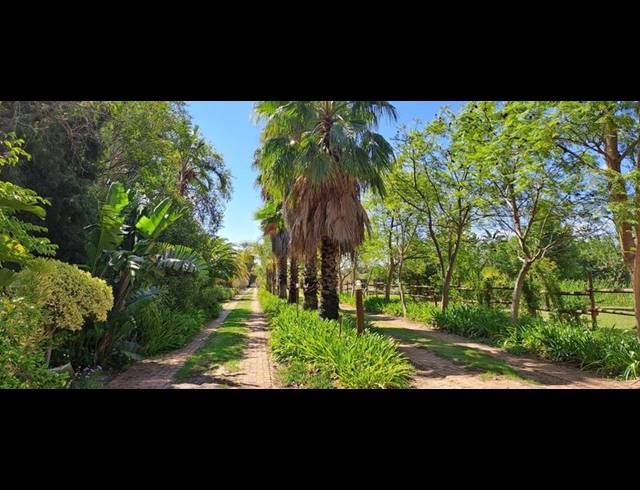 FARM FOR SALE IN PAARL RURAL